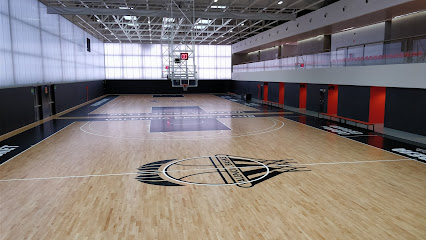 L'Alqueria del Basket thumb 5
